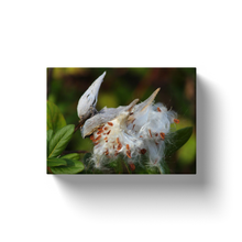 Load image into Gallery viewer, Milk Weed - Canvas Wraps

