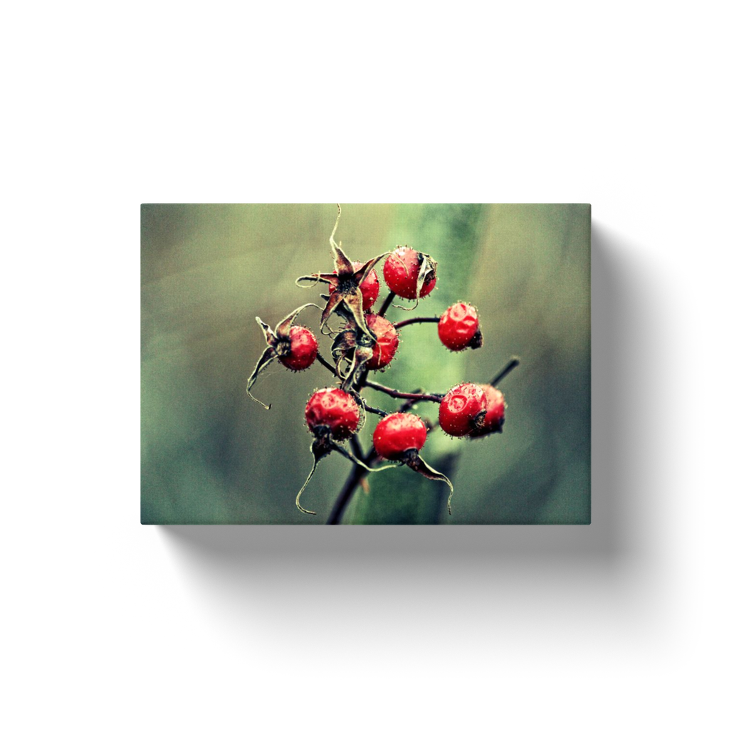 Wild Berries - Canvas Wraps