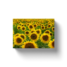 Load image into Gallery viewer, Sunflower Patch - Canvas Wraps
