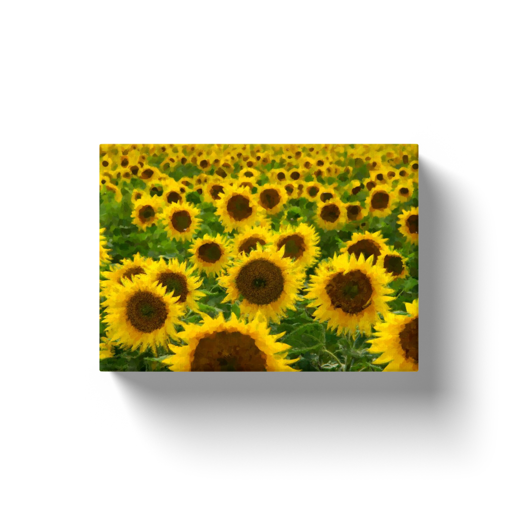Sunflower Patch - Canvas Wraps
