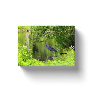 Heron Under A Bush - Canvas Wraps