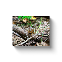 Load image into Gallery viewer, Chipmunk - Canvas Wraps
