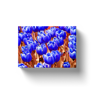 Blue Tulips - Canvas Wraps