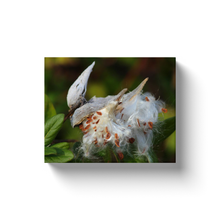 Load image into Gallery viewer, Milk Weed - Canvas Wraps
