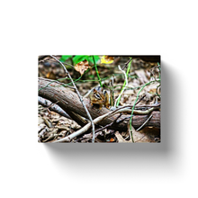 Load image into Gallery viewer, Chipmunk - Canvas Wraps
