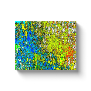 Paint Splatter - Canvas Wraps