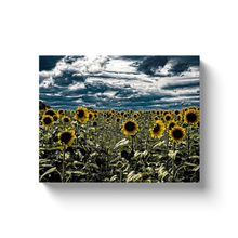 Load image into Gallery viewer, Dark Sunflower Field - Canvas Wraps
