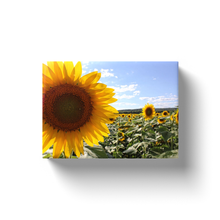 Load image into Gallery viewer, Sunflower Up Close - Canvas Wraps
