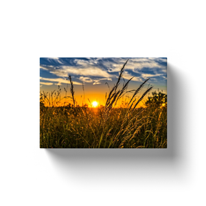 Open Field Sunset - Canvas Wraps