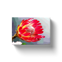 Load image into Gallery viewer, Protea Bloom - Canvas Wraps

