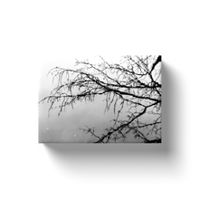 Load image into Gallery viewer, Tree Branch Reflection - Canvas Wraps
