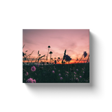 Load image into Gallery viewer, Wild Flower Field - Canvas Wraps
