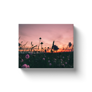 Wild Flower Field - Canvas Wraps