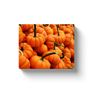 Mini Pumpkins - Canvas Wraps