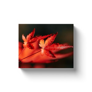 Red Maple Leaves - Canvas Wraps