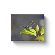 Load image into Gallery viewer, Rearview Dragonfly - Canvas Wraps
