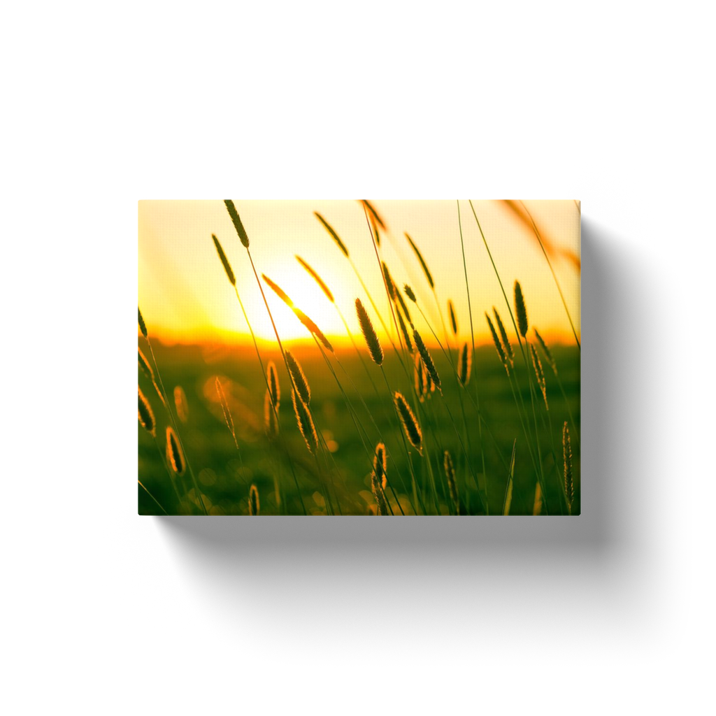 Open Range Sunrise - Canvas Wraps