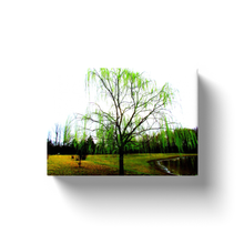 Load image into Gallery viewer, Green Tree - Canvas Wraps

