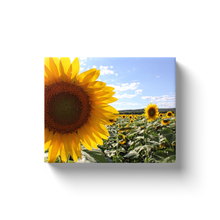 Load image into Gallery viewer, Sun Flower Field - Canvas Wraps
