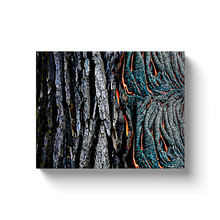 Load image into Gallery viewer, Burning Wood - Canvas Wraps
