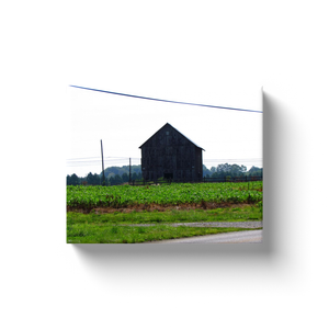 Old Barn - Canvas Wraps