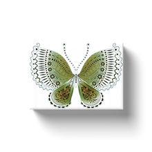 Load image into Gallery viewer, Green Rainbow Butterfly - Canvas Wraps
