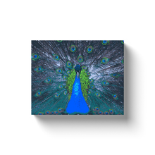 Load image into Gallery viewer, Blue Peacock - Canvas Wraps
