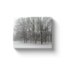 Load image into Gallery viewer, Snow Sketch Look - Canvas Wraps
