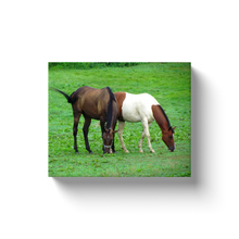 Load image into Gallery viewer, Two Horses - Canvas Wraps
