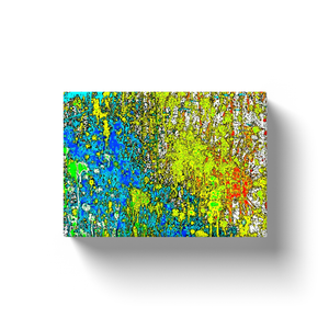 Paint Splatter - Canvas Wraps