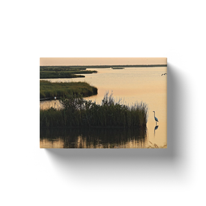 Egrets Around The Marsh - Canvas Wraps