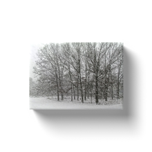 Load image into Gallery viewer, Snow Sketch Look - Canvas Wraps
