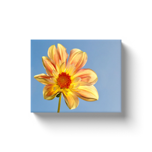 Flower Portrait - Canvas Wraps