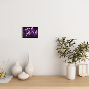 Artsy Purple Flowers - Canvas Wraps